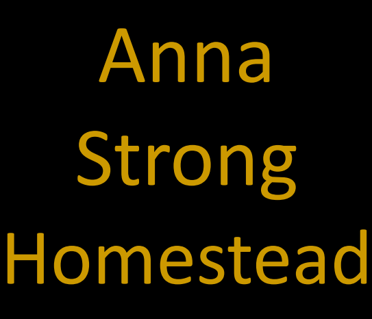 link to Anna Strong Homestead clue
