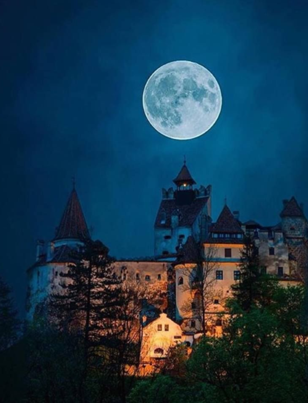 Castle Under Moon Picture