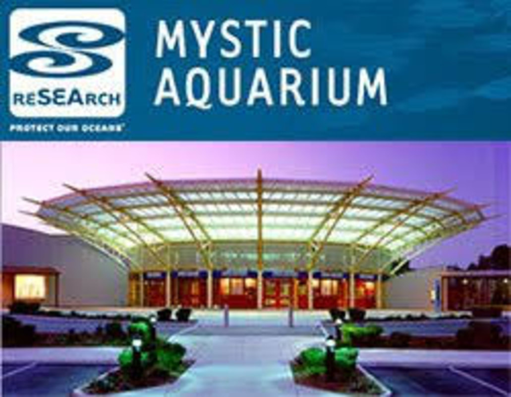 mystic aquarium virtual tour